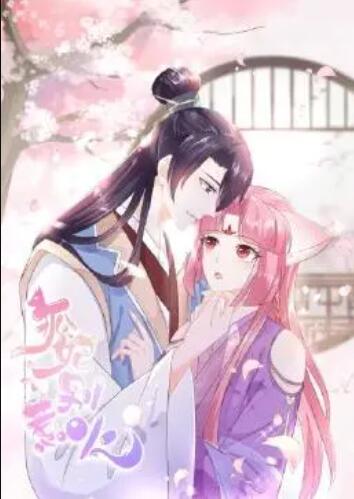 狐妃，别惹火第24集