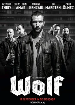 狼（2013）(大结局)