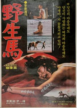 野生馬(大结局)