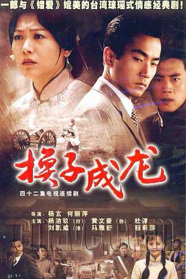 换子成龙第10集