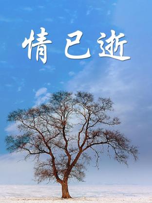 情已逝(全集)