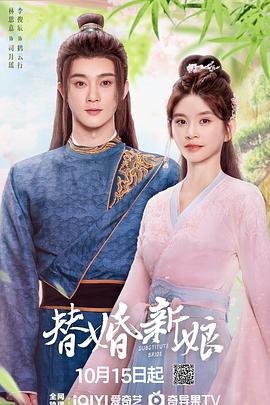 替婚新娘第28集(大结局)