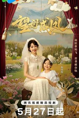 望母成凤(全集)