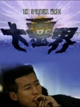 大灵界国语第08集